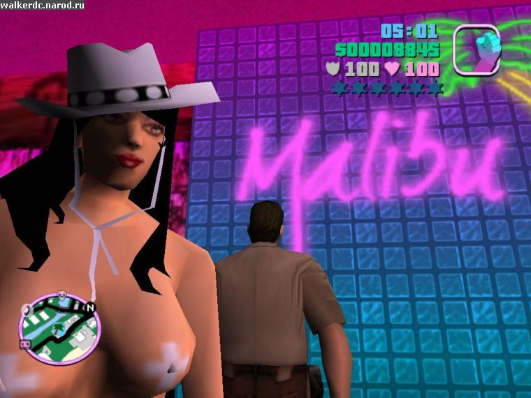 Grand Theft Auto:Vice City (PC)